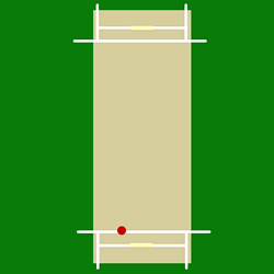 Left Arm Orthodox Spin Ball (Source: wikipedia.com)